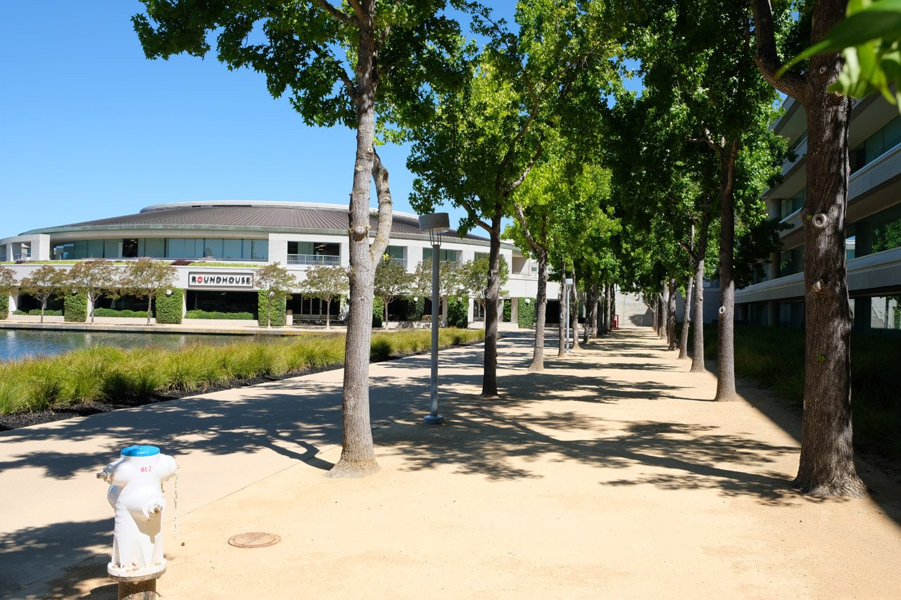 DSCF3706